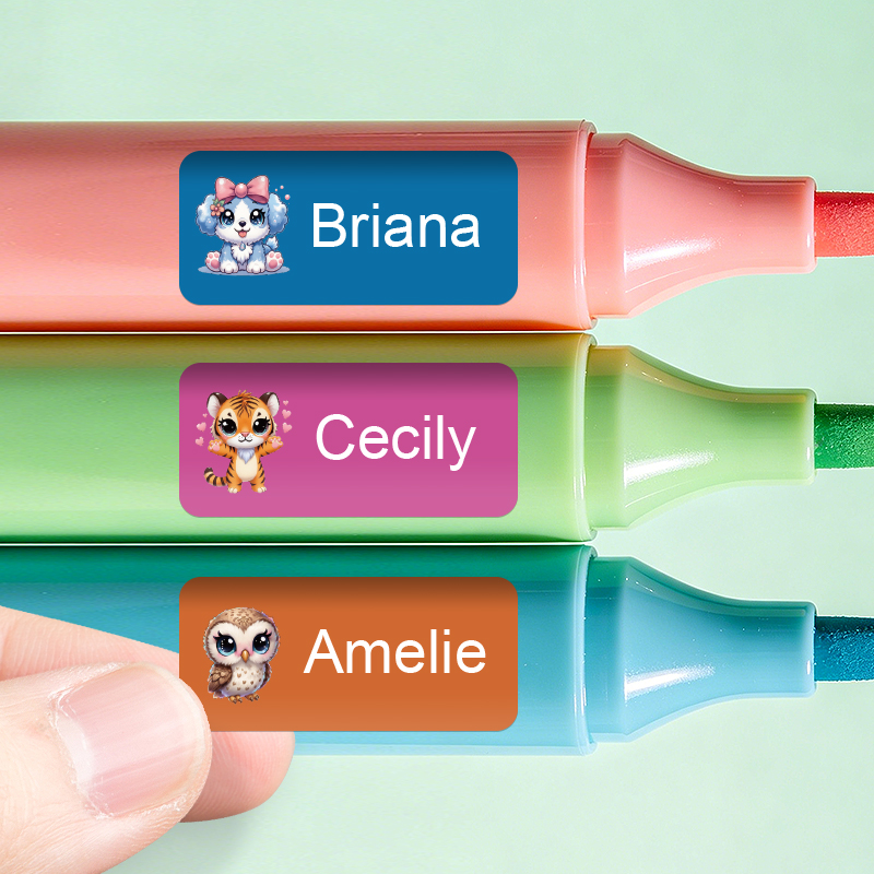 Etiquetas con Nombre Personali - Personalized Name Box reseña y precio